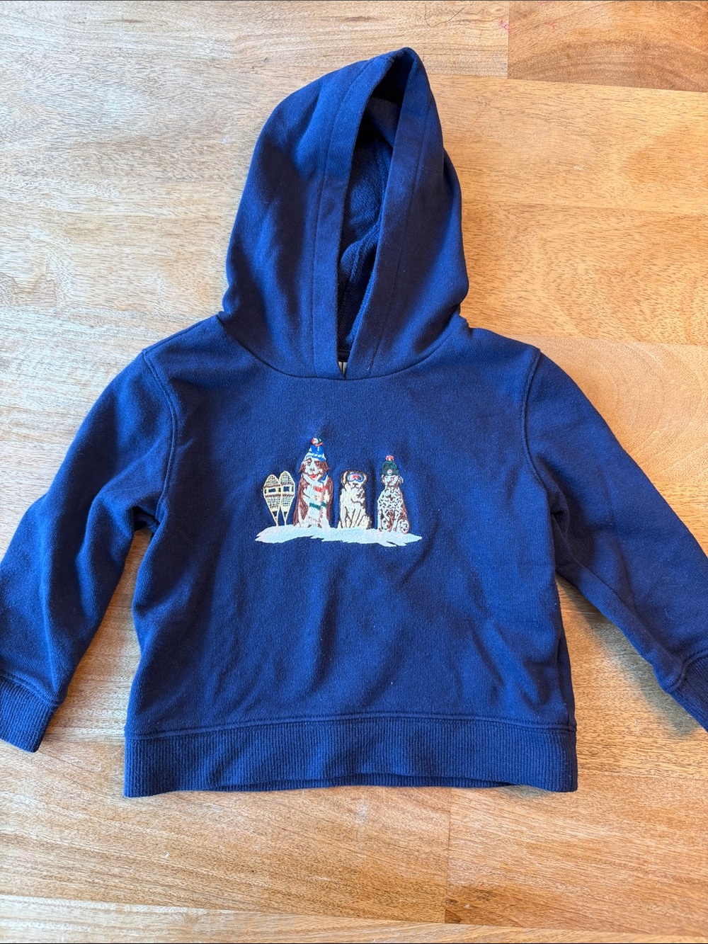 Janie and Jack Navy Hoodie with Penguin & Snow Embroidery